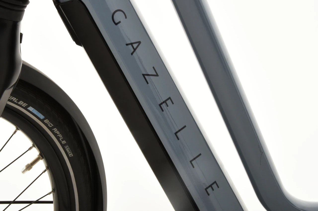 Gazelle Chamonix T10 HMS 2024