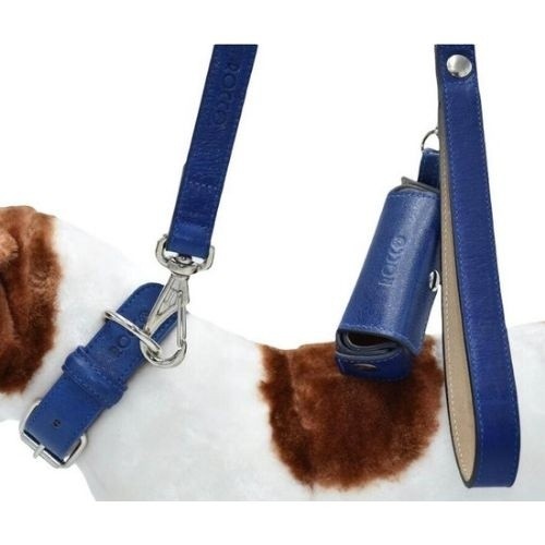 Conjunto fiel Rocco coleira azul para cães