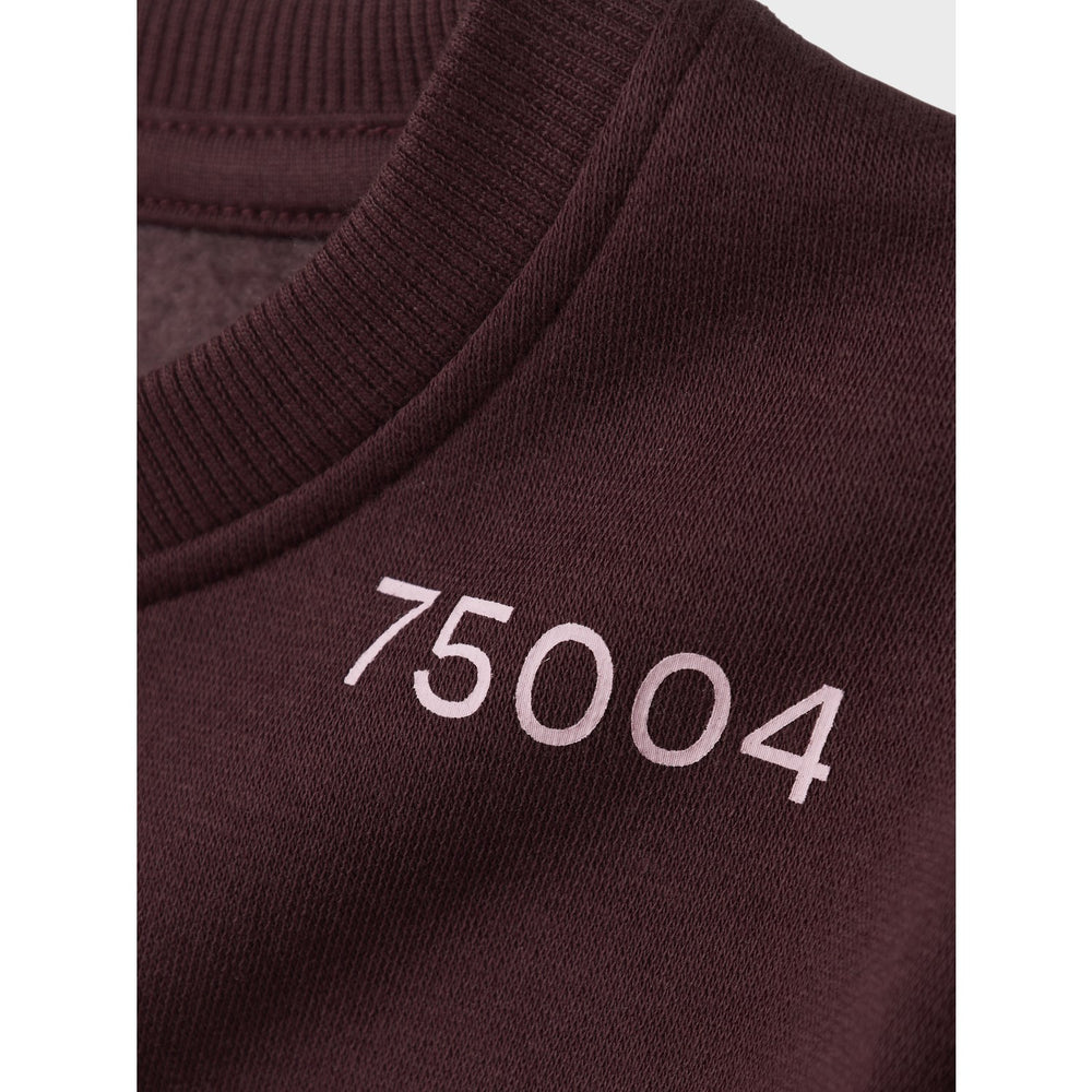 Køb Name It Sassafras Nkfodika Ls Rlx Sweat Bru Bf
