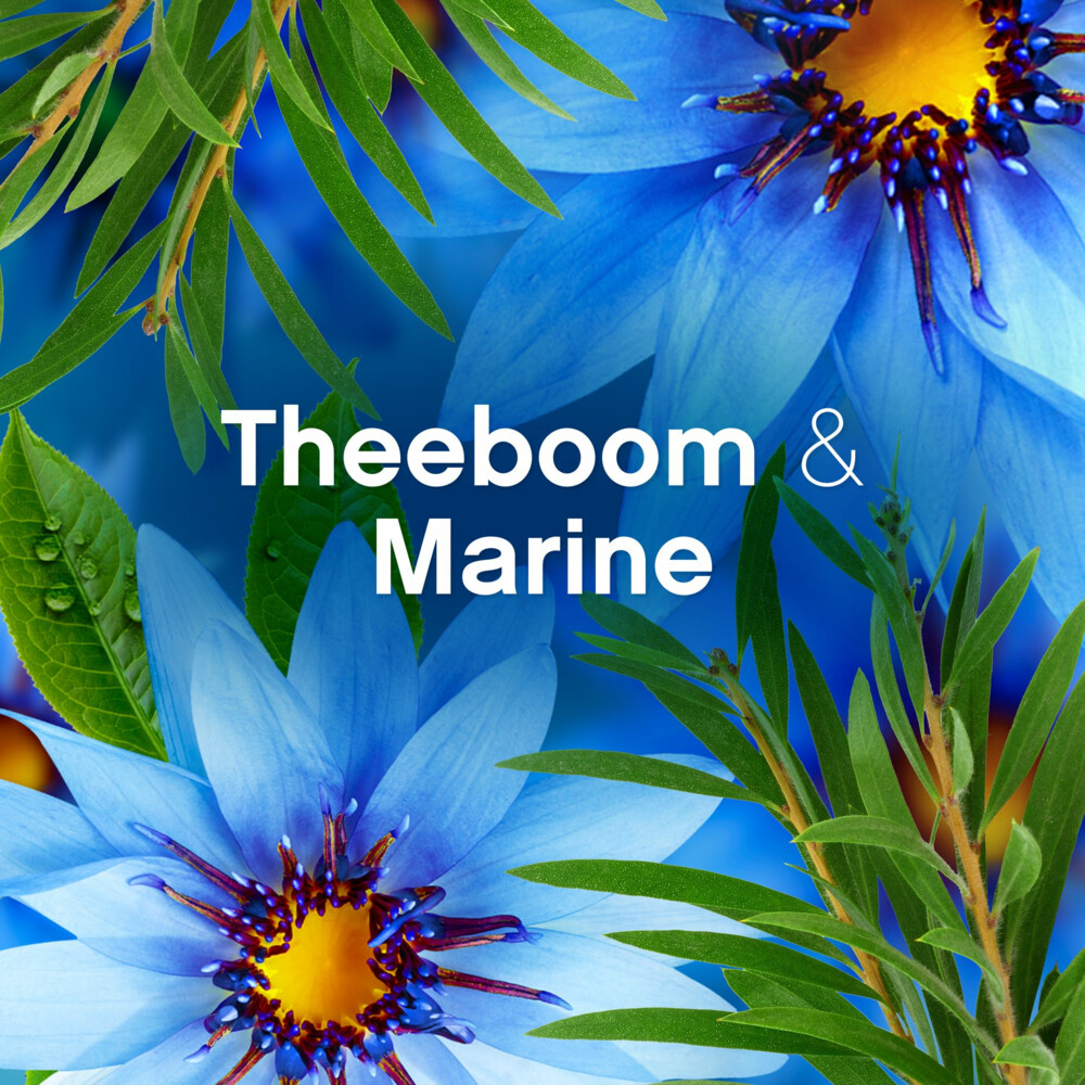 Lenor Wasverzachter Zeebries 82 Wasbeurten1722 ml