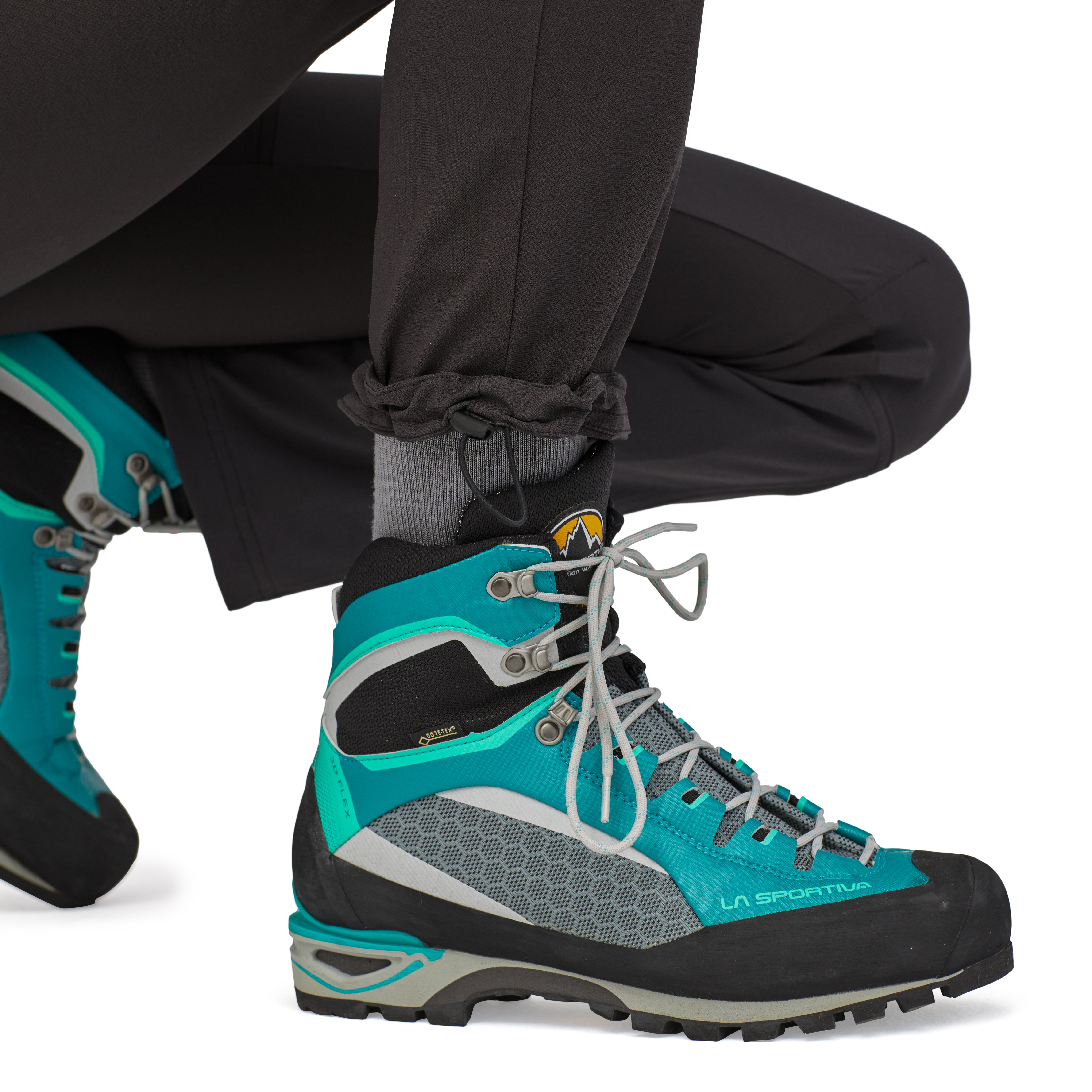 W's Terravia Alpine Pants