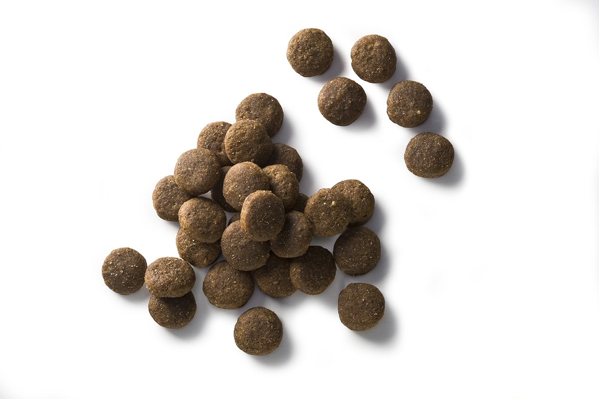 Faunakram- 10 kg. Hvalpefoder, Kornfri, Frisk kød, kylling 37-17
