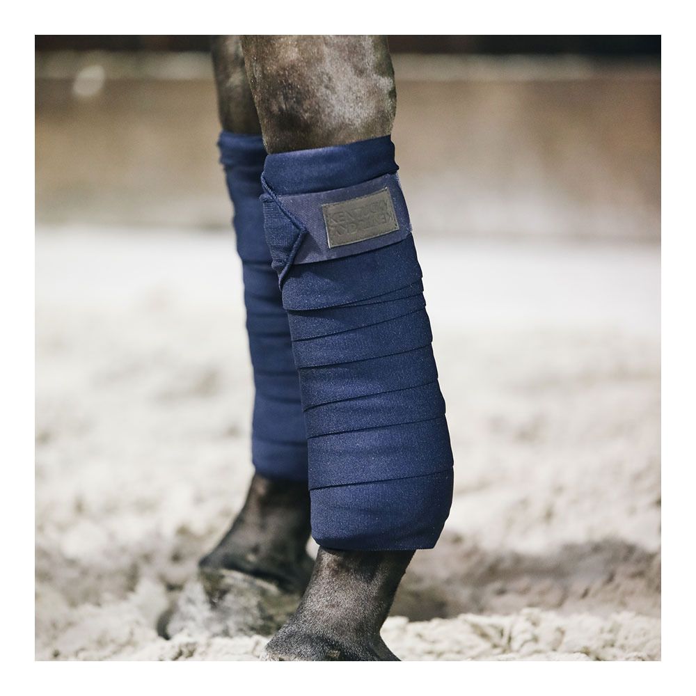 Kentucky REPELLENT - Bande de travail x2 bleu marine