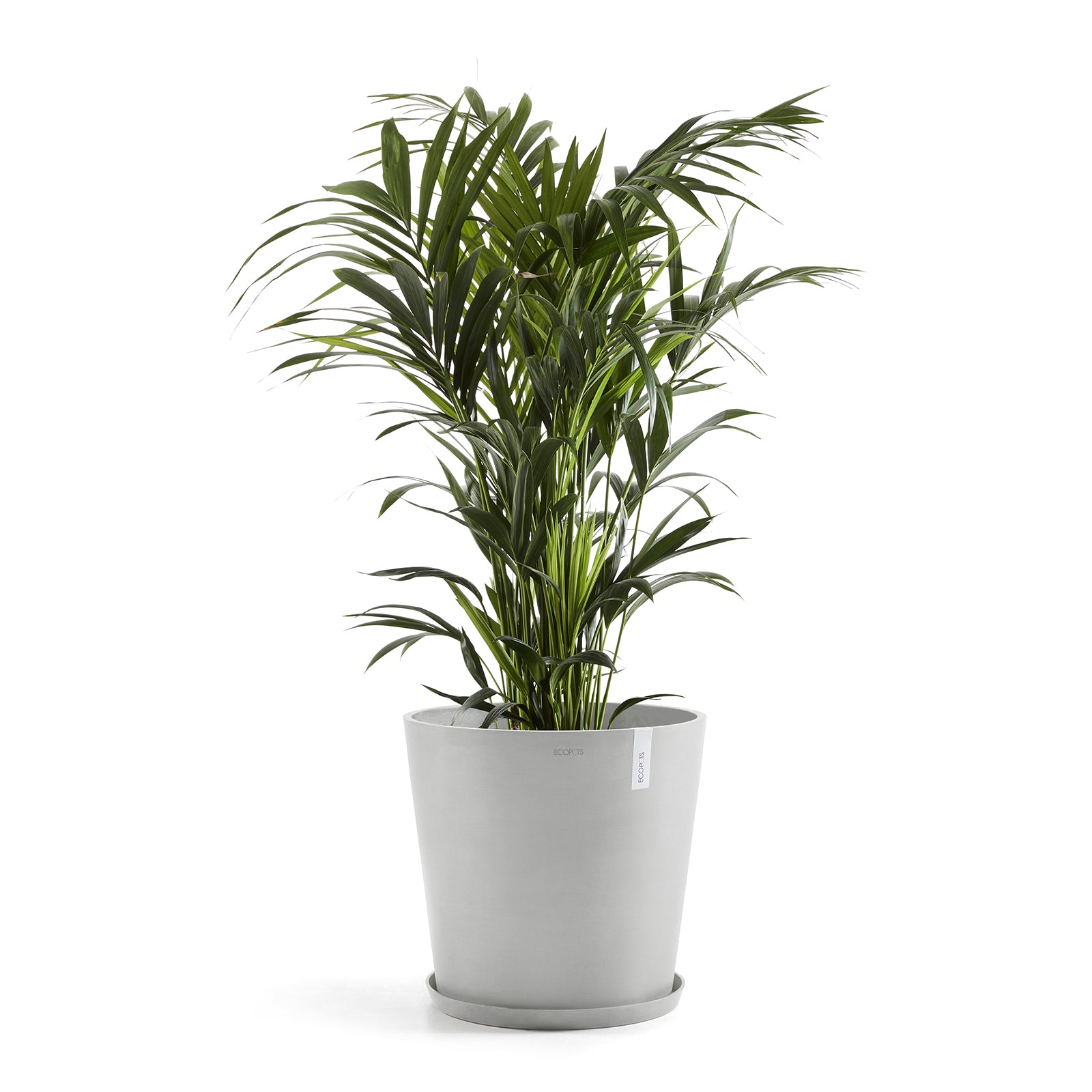 Ecopots Amsterdam 60