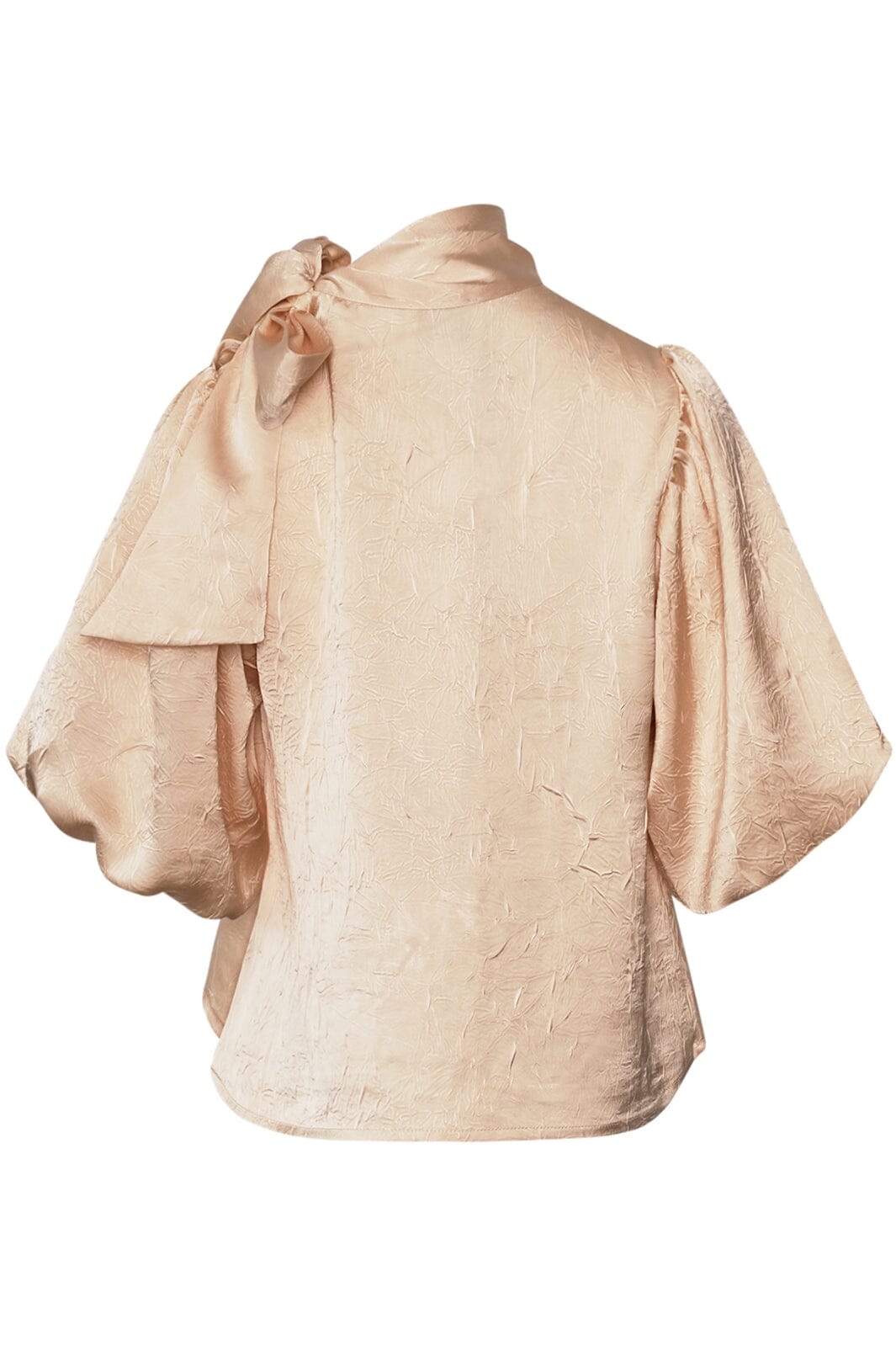 Noella Kesha Blouse 726 champagne