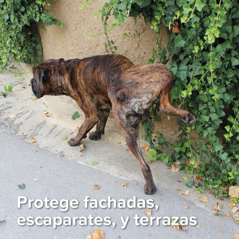 Spray de treinamento externo Beaphar para cães e gatos