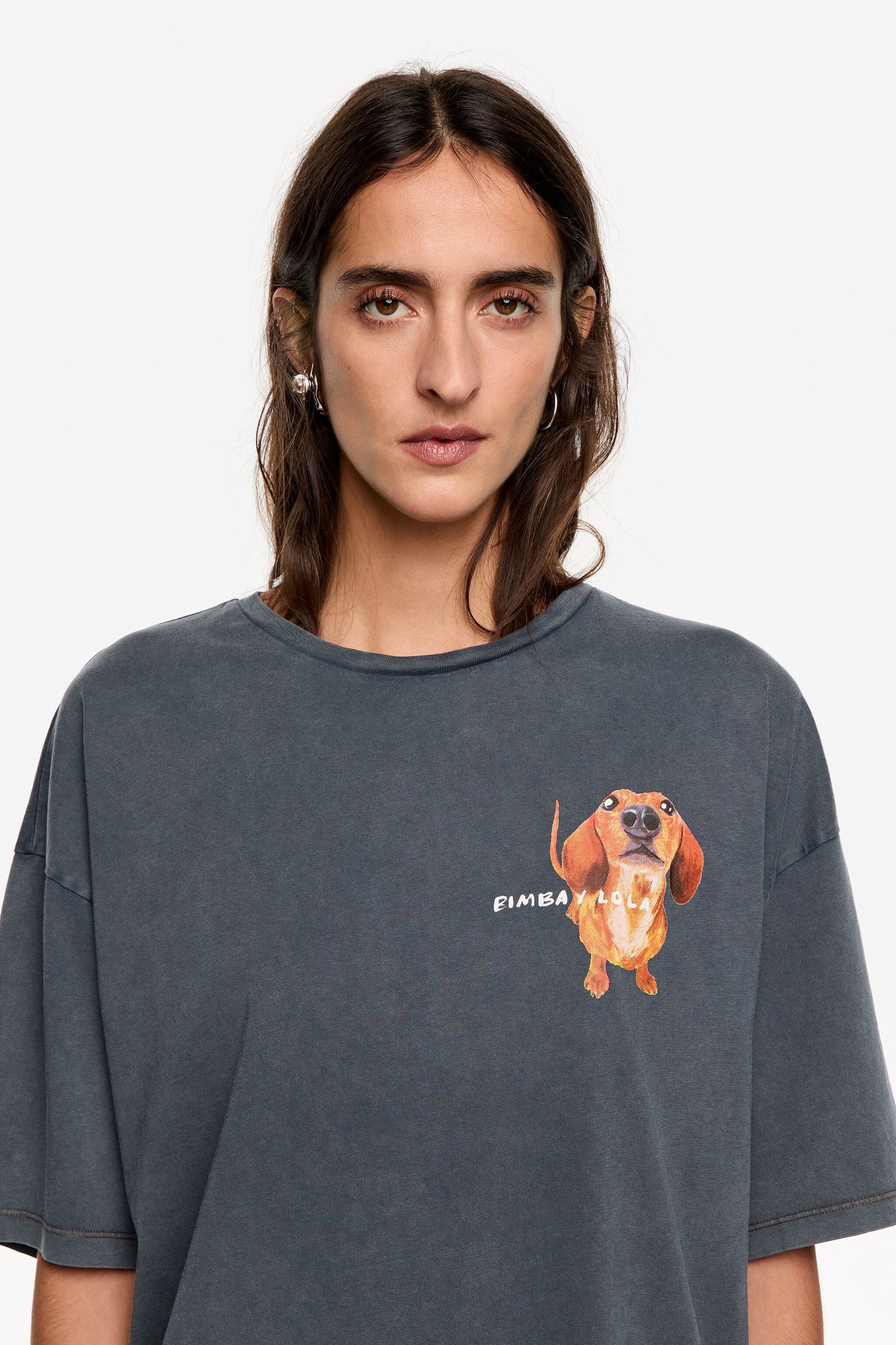 Camiseta com o logo de um dachshund em tons de cinza e azul