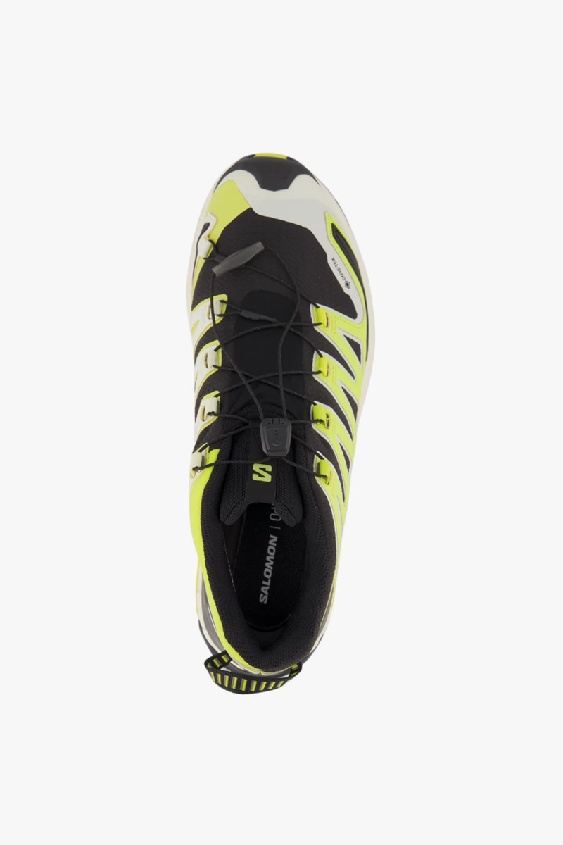 Salomon XA Pro 3D V9 Gore-Tex® Herren Trekkingschuh