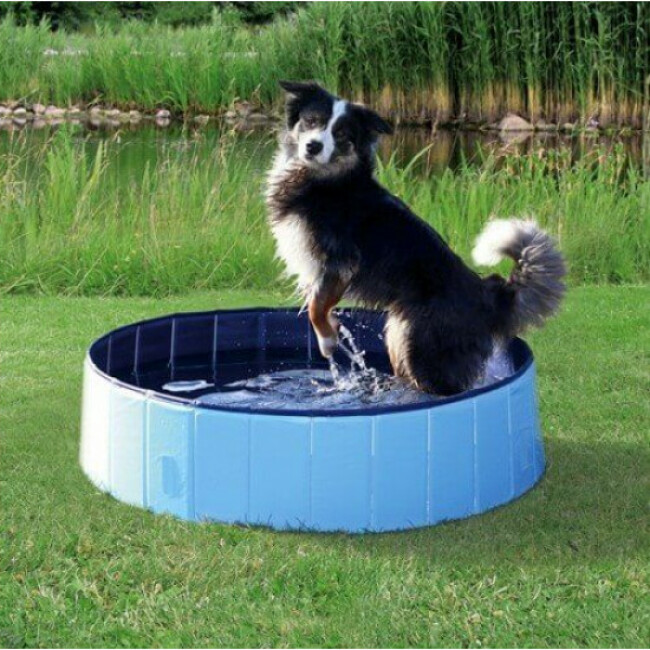 Piscine Trixie pour chien