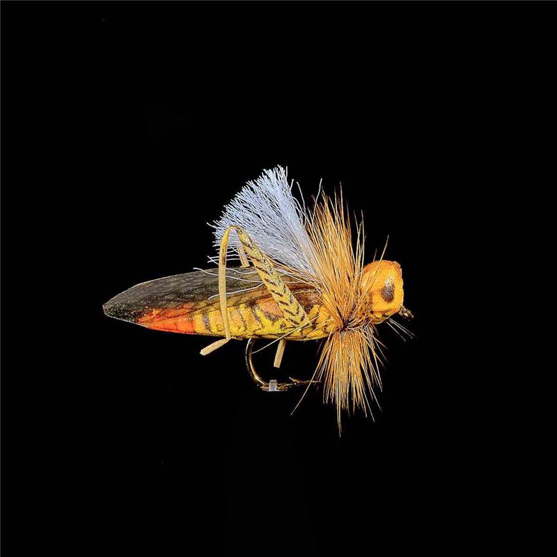 Mouche Jmc Terrestres Sauterelle 25