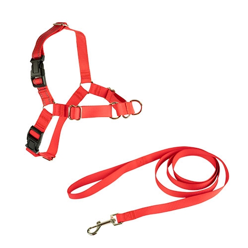 Conjunto de coleira e guia anti-puxão Ibañez, preta, para cães.