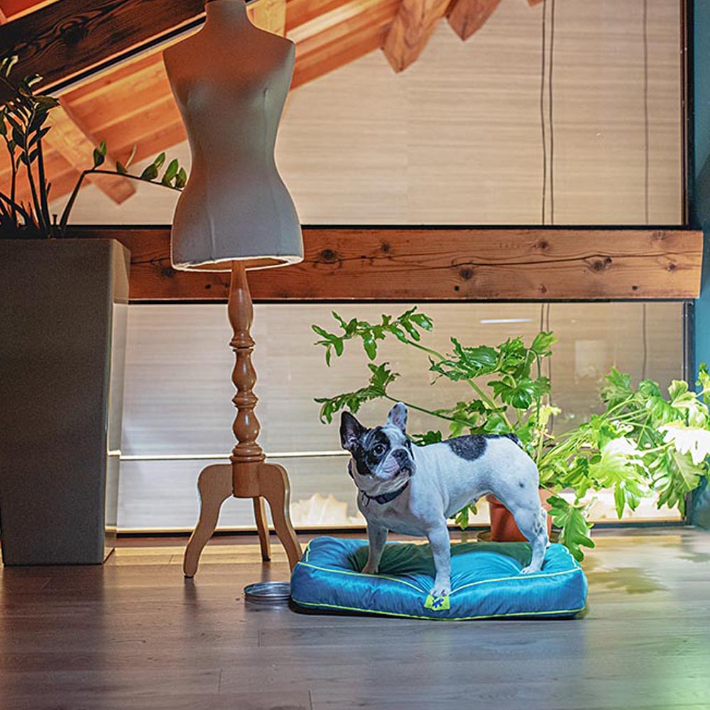 Ferplast panier chien chat - coussin orthopédique chien - lavable en machine - tapis chien - lit chat chien - imperméable &