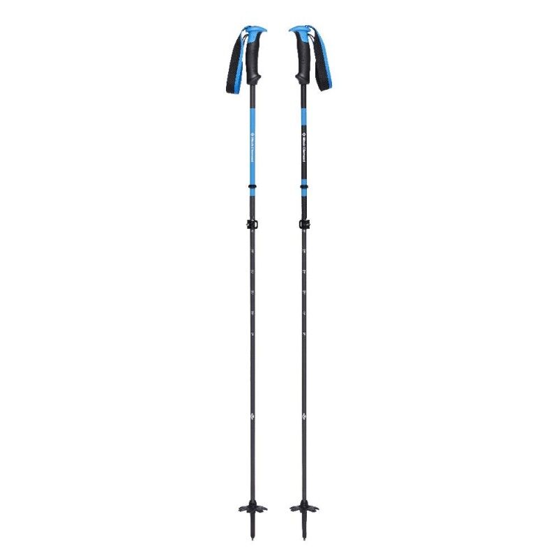 Razor Carbon Pro Ski Poles - Bâtons ski