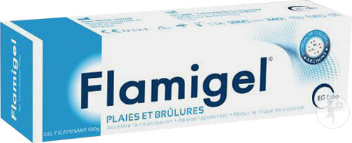 Flamigel Gel Cicatrisant Plaies Et Brûlures Tube 100g