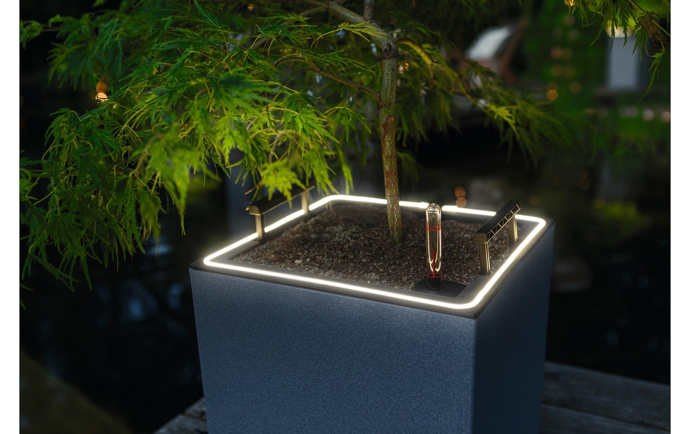 Pflanzkübel »Canto Stone 40 Low, Stone Gray«