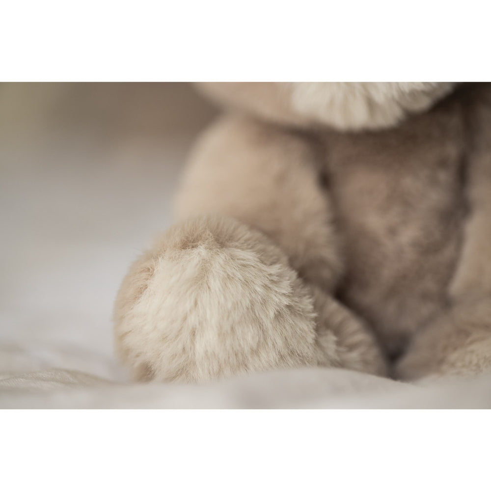 Køb Teddykompaniet Beige Teddy Mocca - Bamse, 34 Cm