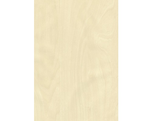 Plafondlijst Royal Birch 17x36x2600 mm