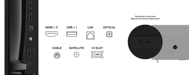 TCL 55