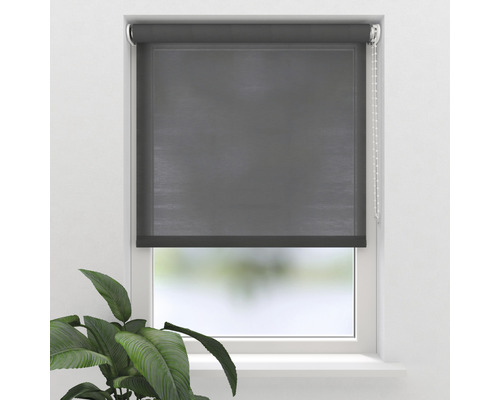 Soluna daglichtrolgordijn T21 transparant antraciet 60x190 cm