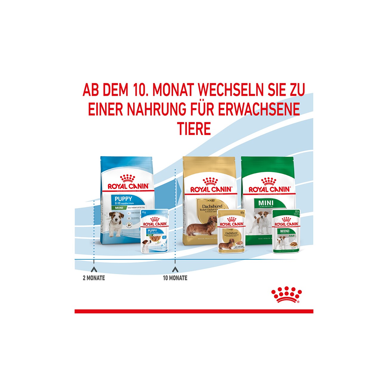 ROYAL CANIN Mini Puppy 12x85g