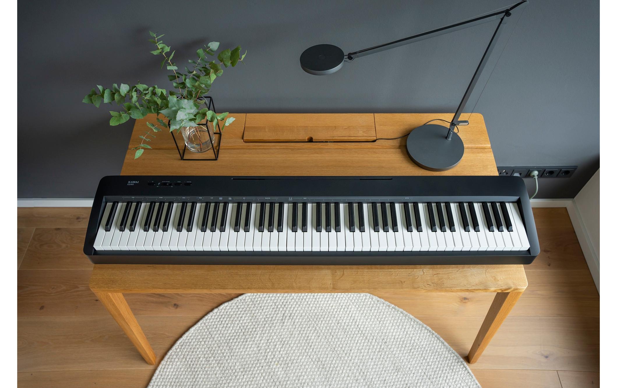 Stage Piano ES-60<br>Kompaktes, digitales Stage Piano