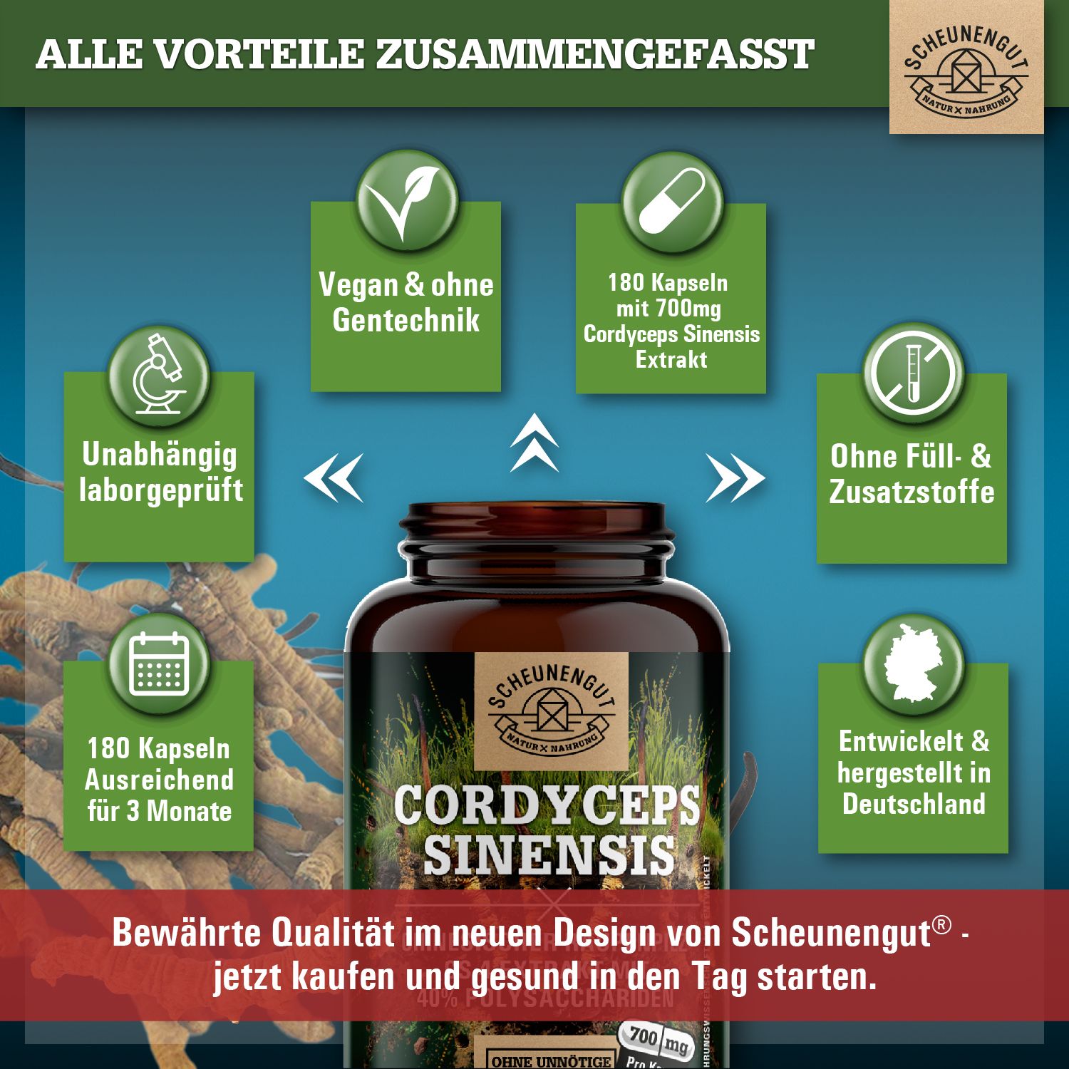 Scheunengut® Cordyceps Sinensis CS-4 Extrakt | 10:1 Raupenpilz Extrakt mit 40% Polysaccharide