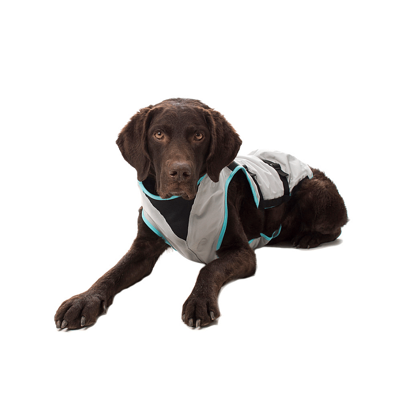 Dry Cooling Vest Hond | M | 10531
