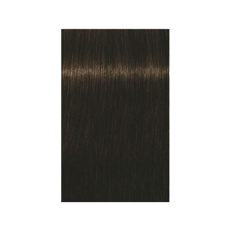 Coloration Igora Royal Schwarzkopf 60ML ( Par numéro )