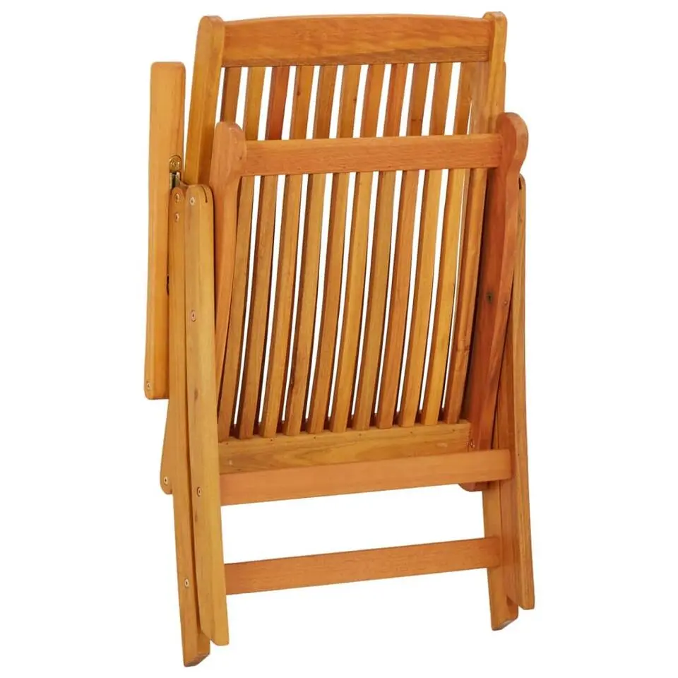 vidaXL - Tuinstoel - Bruin - Eucalyptushout - 2 stuks - Inklapbaar