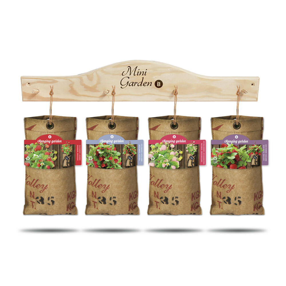 Baza Hangtuintjes Set Aardbeien1 set