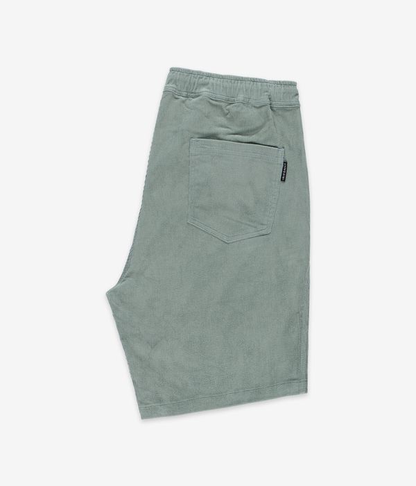 Iriedaily Corvin Shorts (mintgrey)
