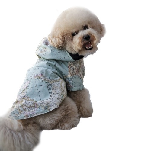 Capa de chuva King Harry para cães, azul