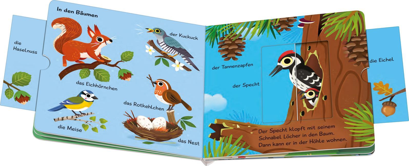 Meine ersten Wörter / Meine ersten Wörter vom Wald - Sprechen lernen mit großen Schiebern und Sachwissen für Kinder ab 12 Monaten