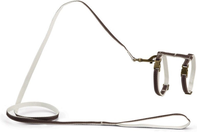 Designed by Lotte kattentuigje Virante bruin 27-45 cm