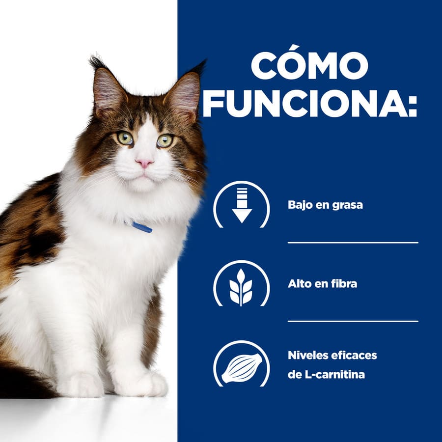 Ração para gatos Hill's Prescription Diet Multi-Benefit com sabor de frango