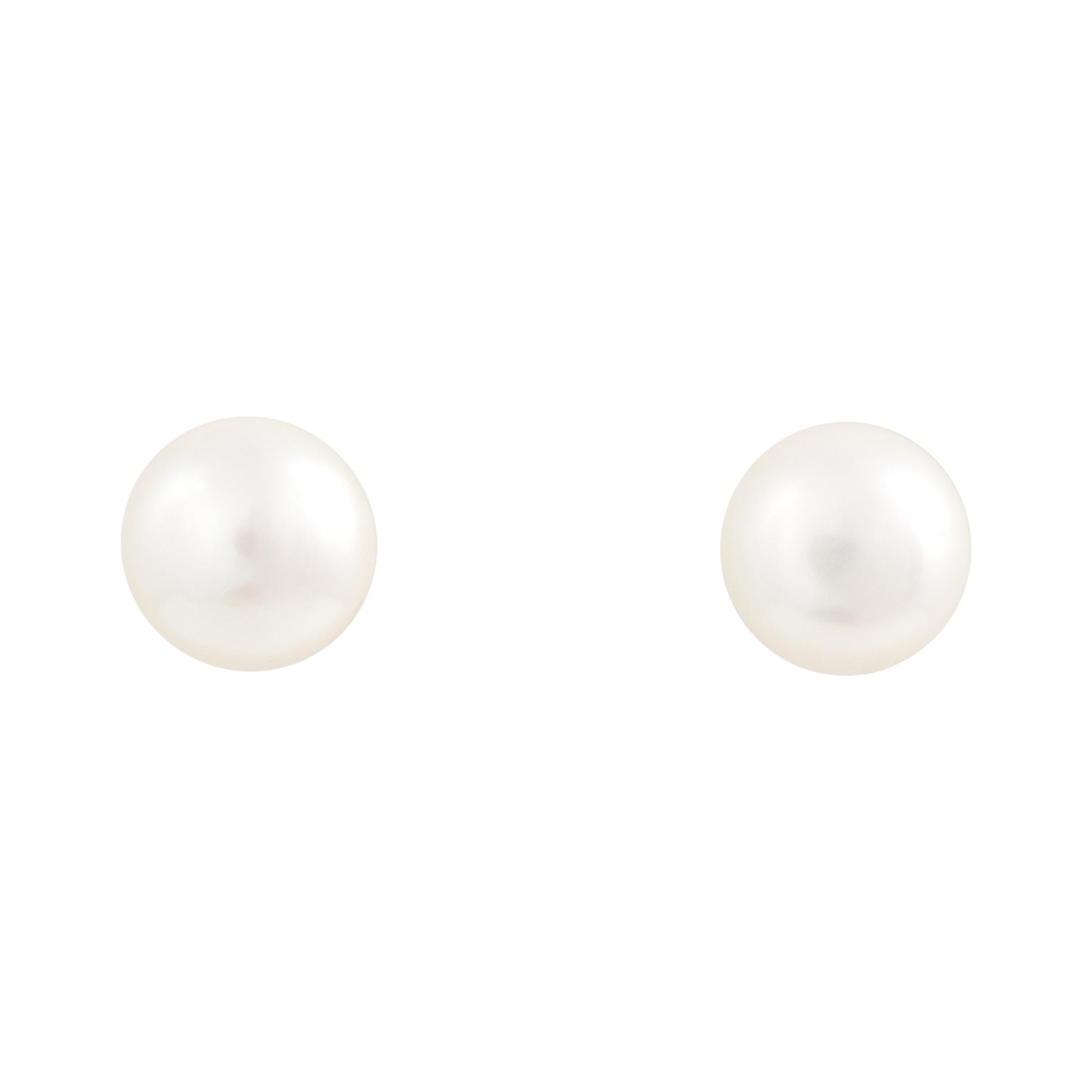 Ohrstecker - Pearl Beauty