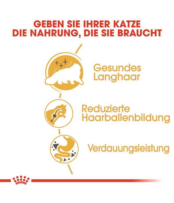 ROYAL CANIN® Trockenfutter für Katzen