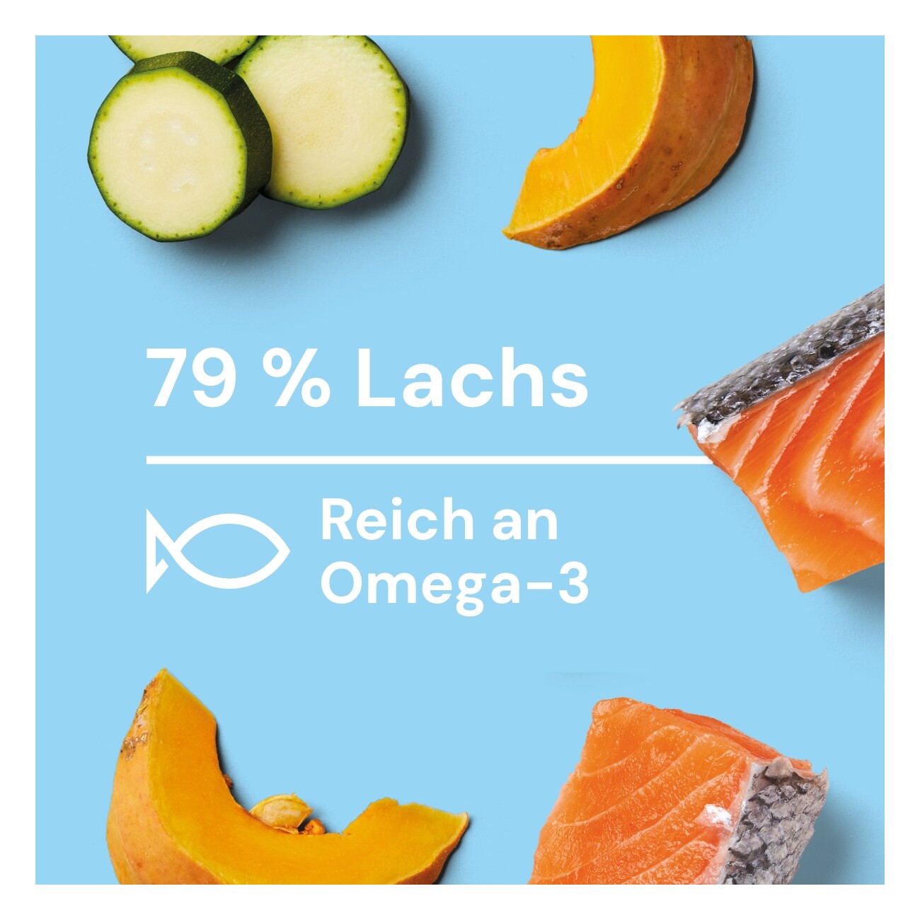 Nutriment Frischemenü Lachs, Kürbis & Zucchini 20x400 g