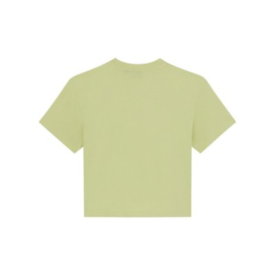 Tee-shirt à manches courtes femme Oakport Boxy W VERT DICKIES