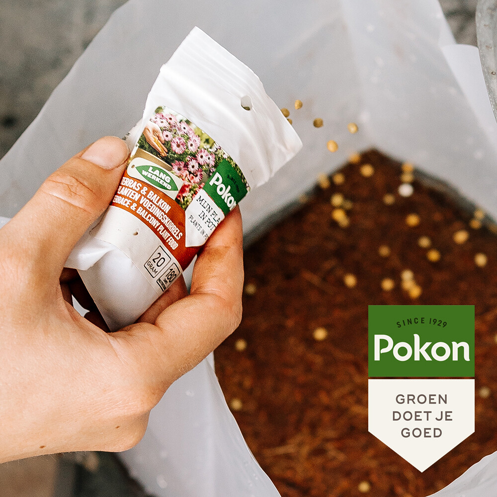 Pokon Kokos Potgrond Terras & Balkon Compact20 liter