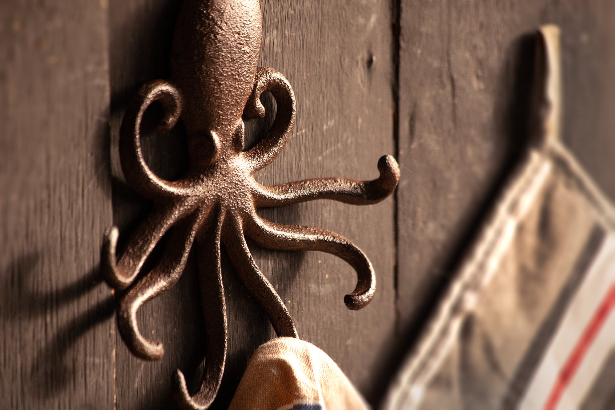 Wandhaken 'Octopus', B 15,5 cm, H 17 cm, L 2 cm von fischer's lagerhaus