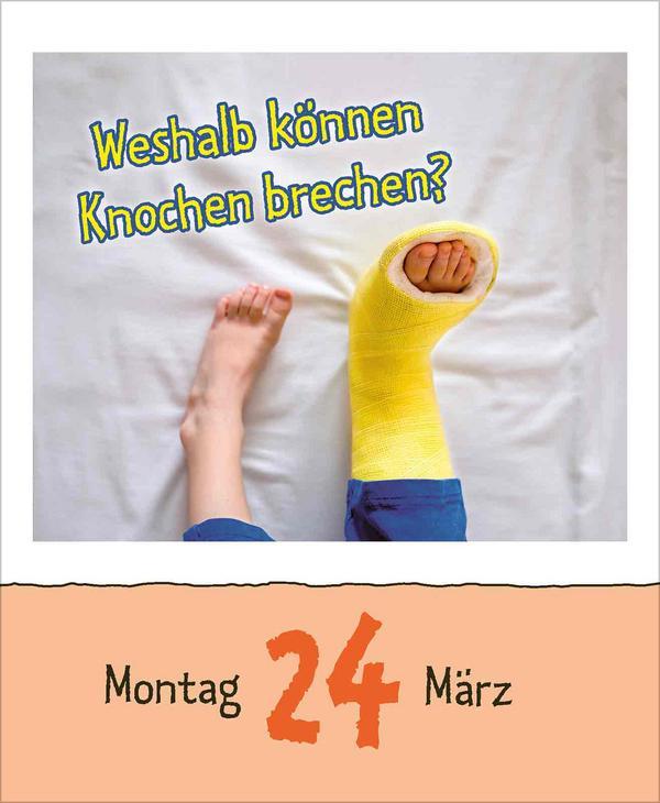 Warum wackelt Wackelpudding? 2025