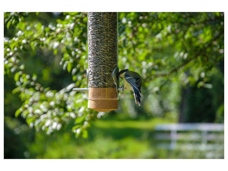 Premium vogel voederbak