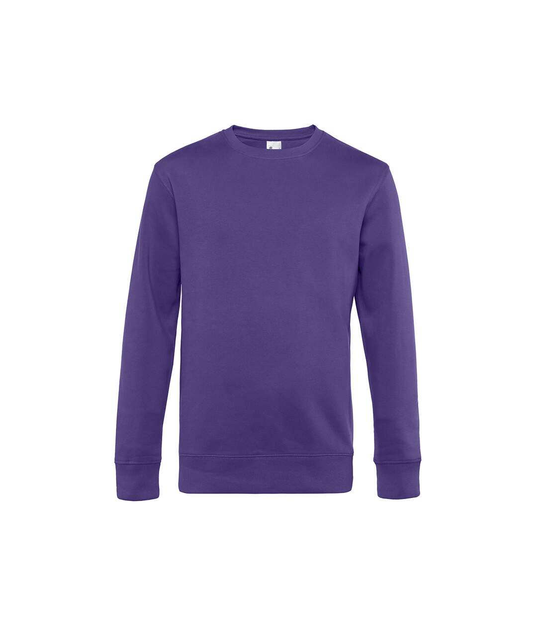 B&C - Sweat KING - Homme (Violet) - UTBC4689