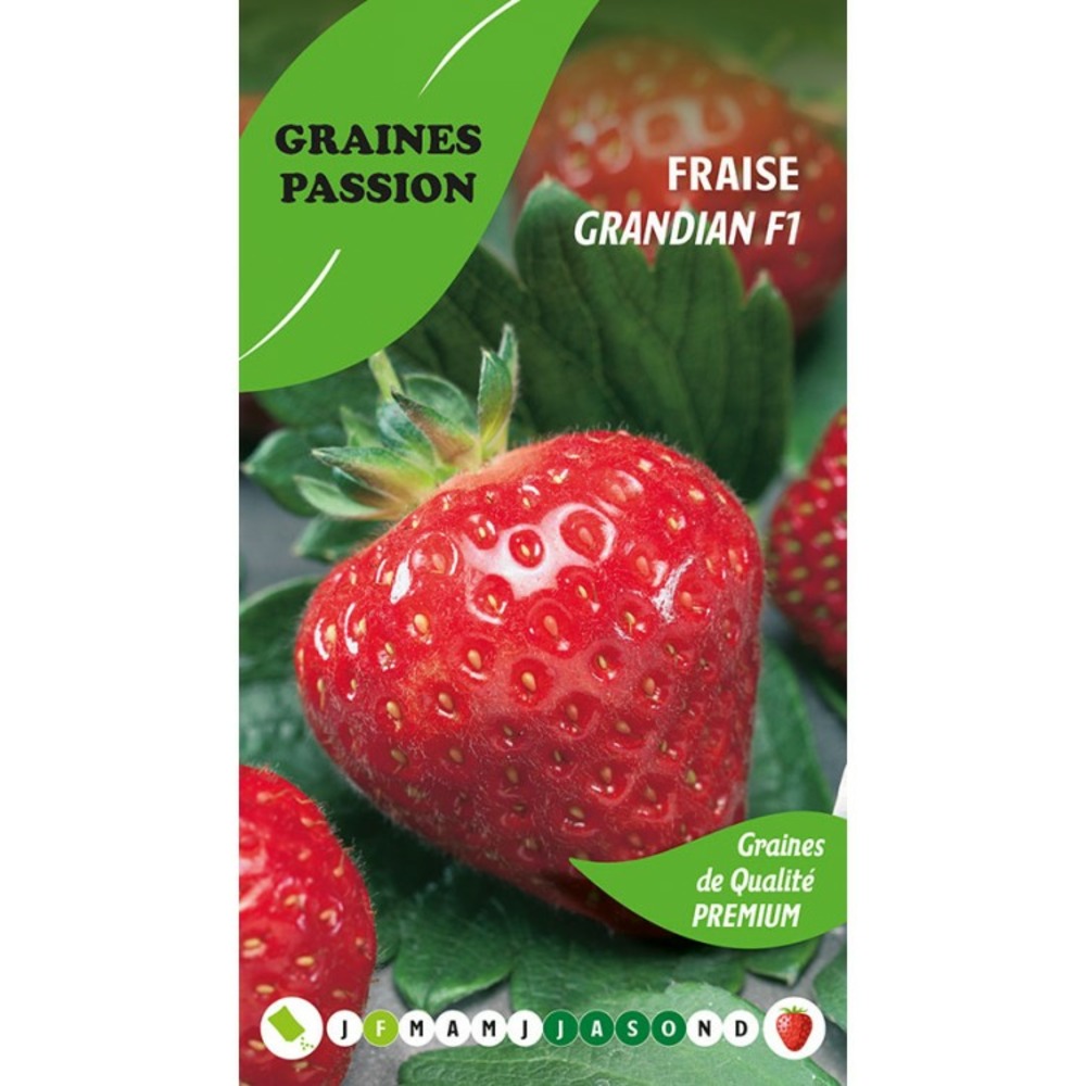 Graines passion , sachet de graines fraise grandian f1