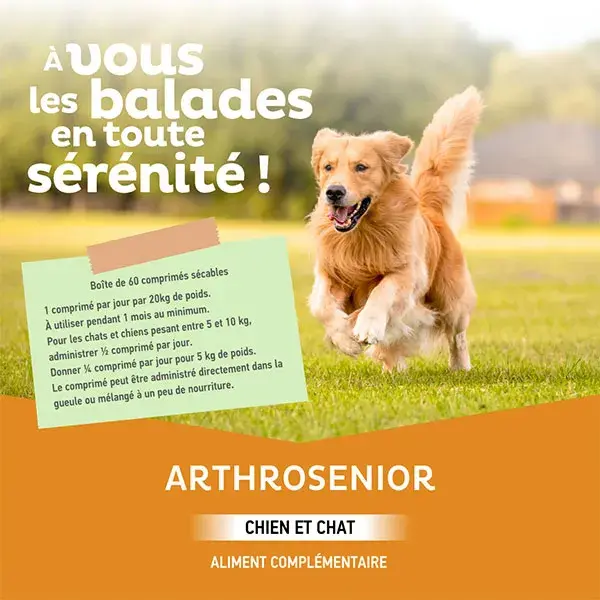 Clement Thekan Arthrosenior Chien Mobilité Articulaire 60 Comprimés