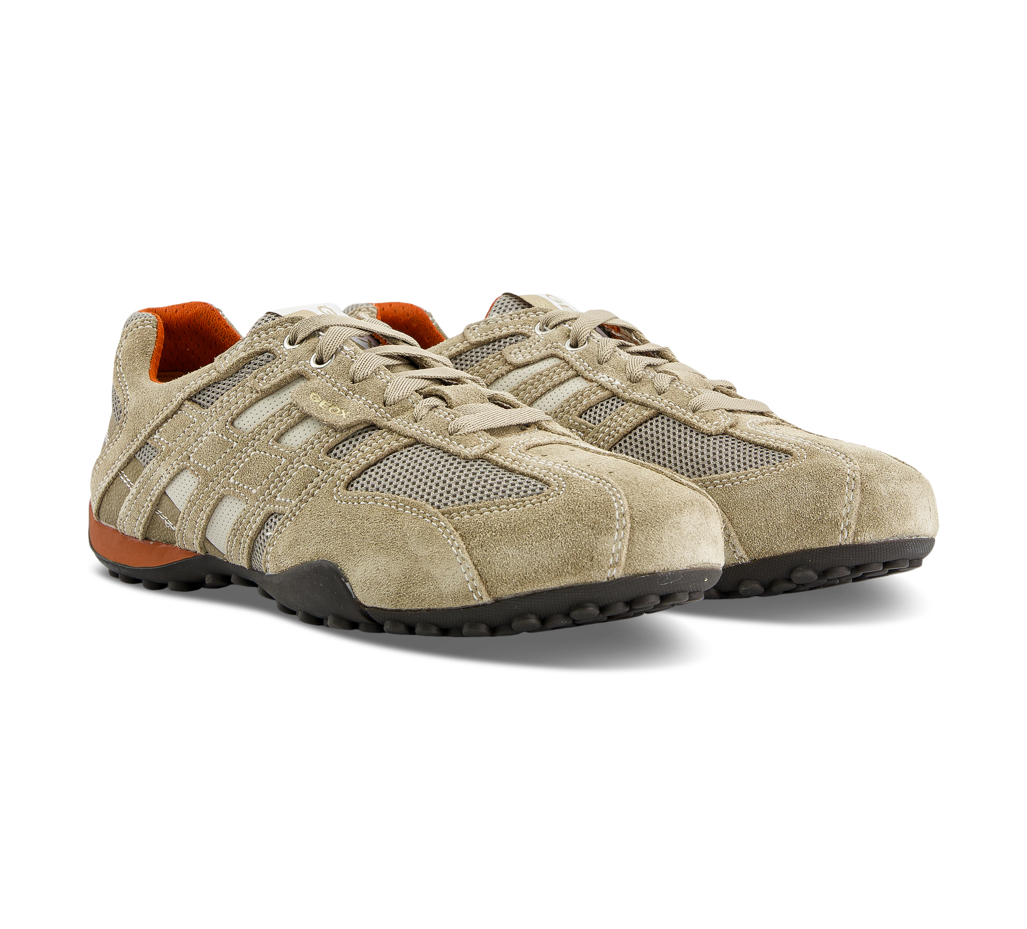 Geox Snake - Sneaker low beige/taupe