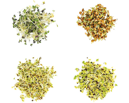 Biologische kiemset, Sprouts, My Harvest 'Kitchen Kick', set van 4