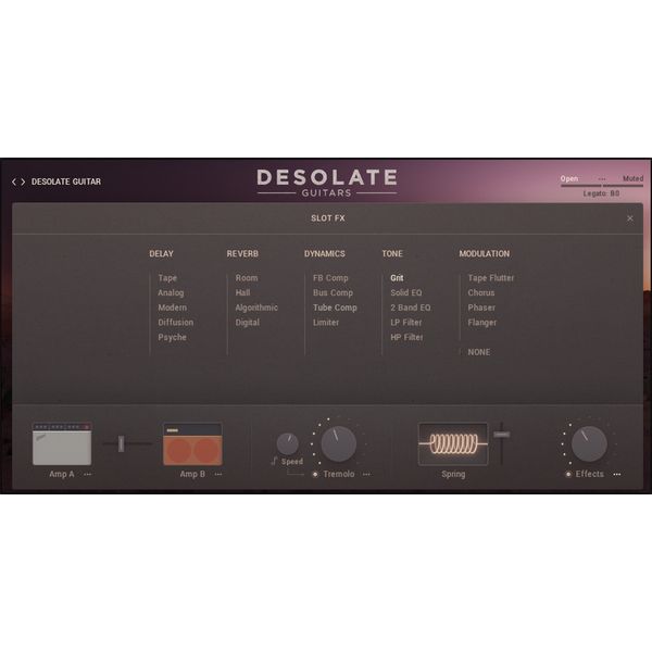 e-instruments Desolate Guitars