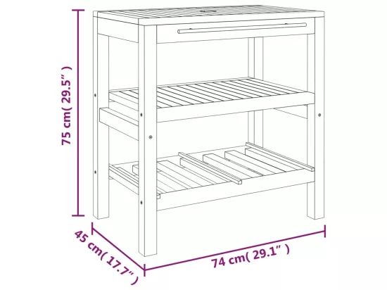 Armoire de salle de bain avec 2 étagères 74x45x75cm bois massif
